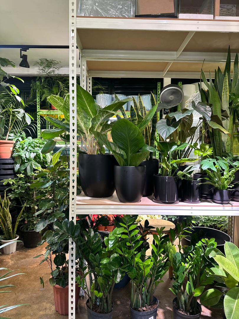 WhatsApp Image 2025-12-21 at 11.25.48 (1)