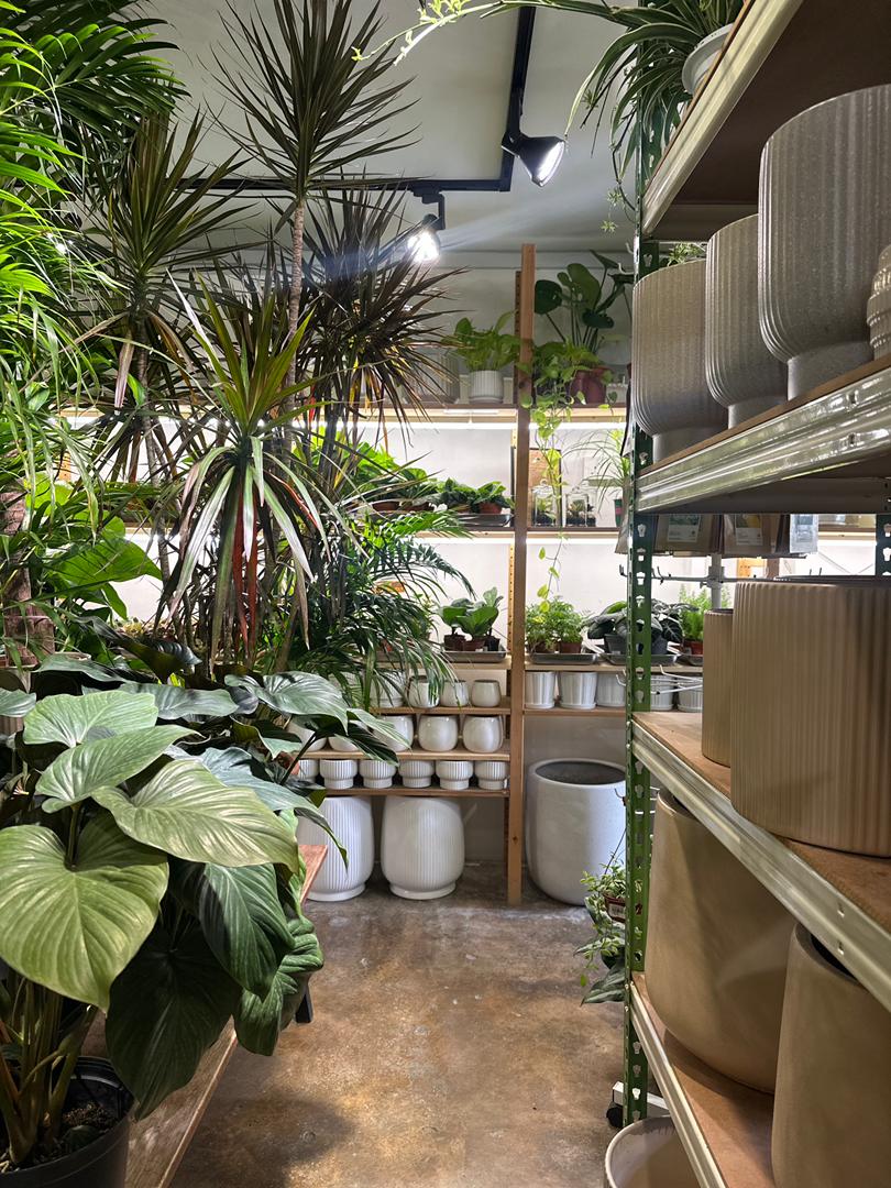 WhatsApp Image 2025-12-21 at 11.25.48