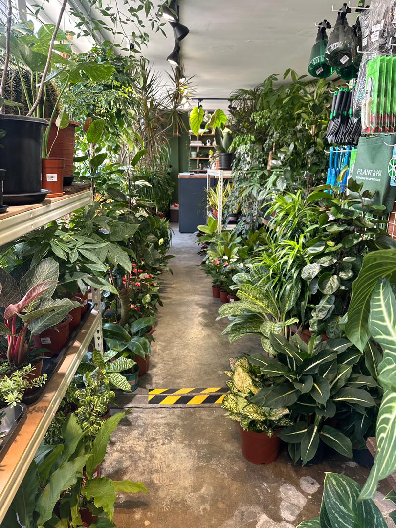 WhatsApp Image 2025-12-21 at 11.25.49