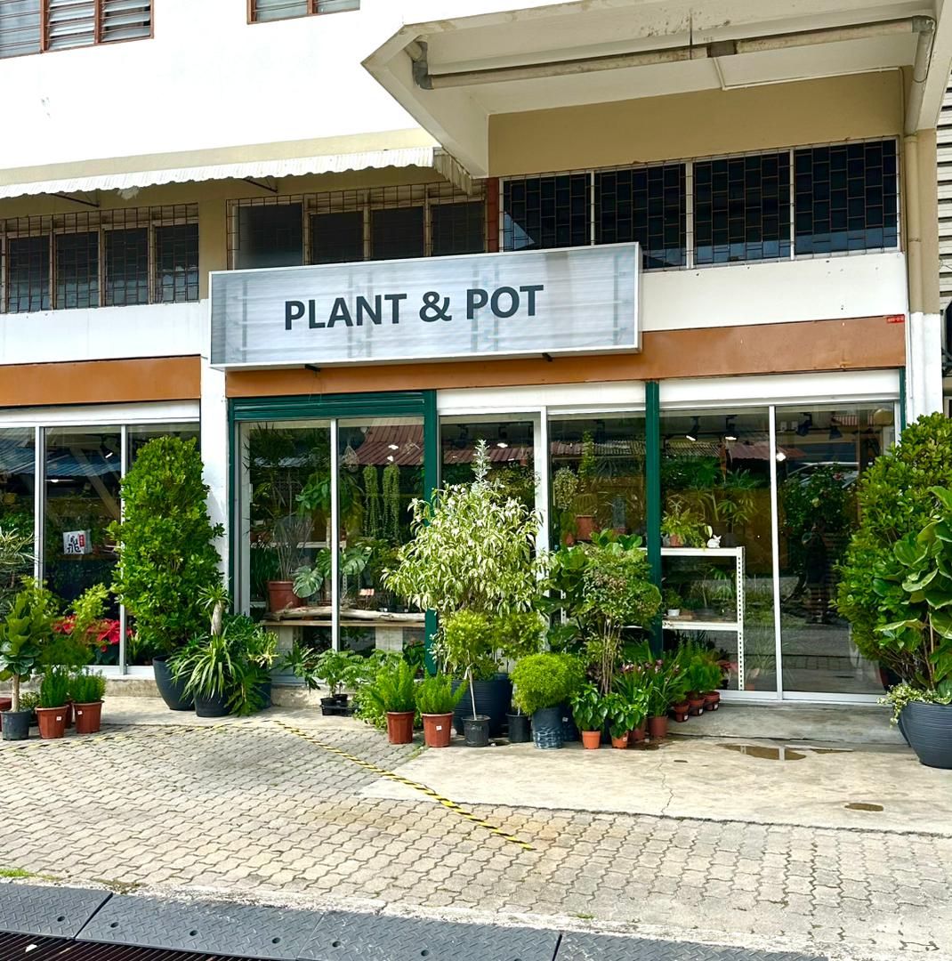 WhatsApp Image 2025-12-21 at 11.57.02