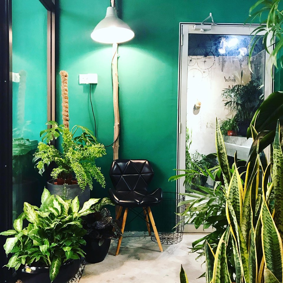 PLANT & POT STUDIO