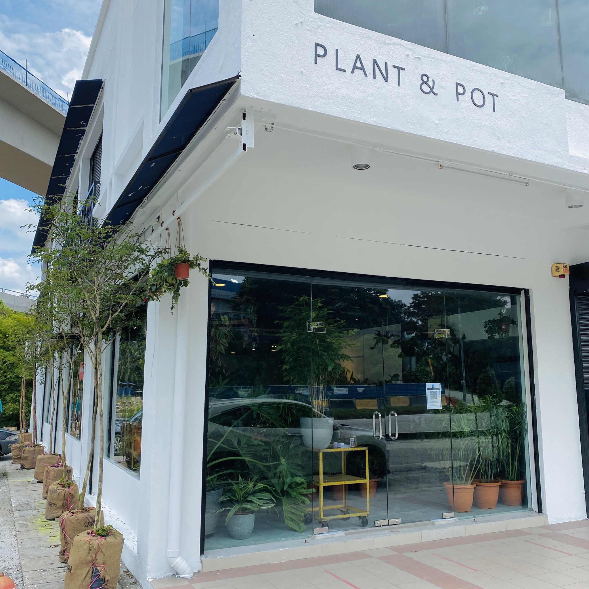 PLANT & POT STUDIO