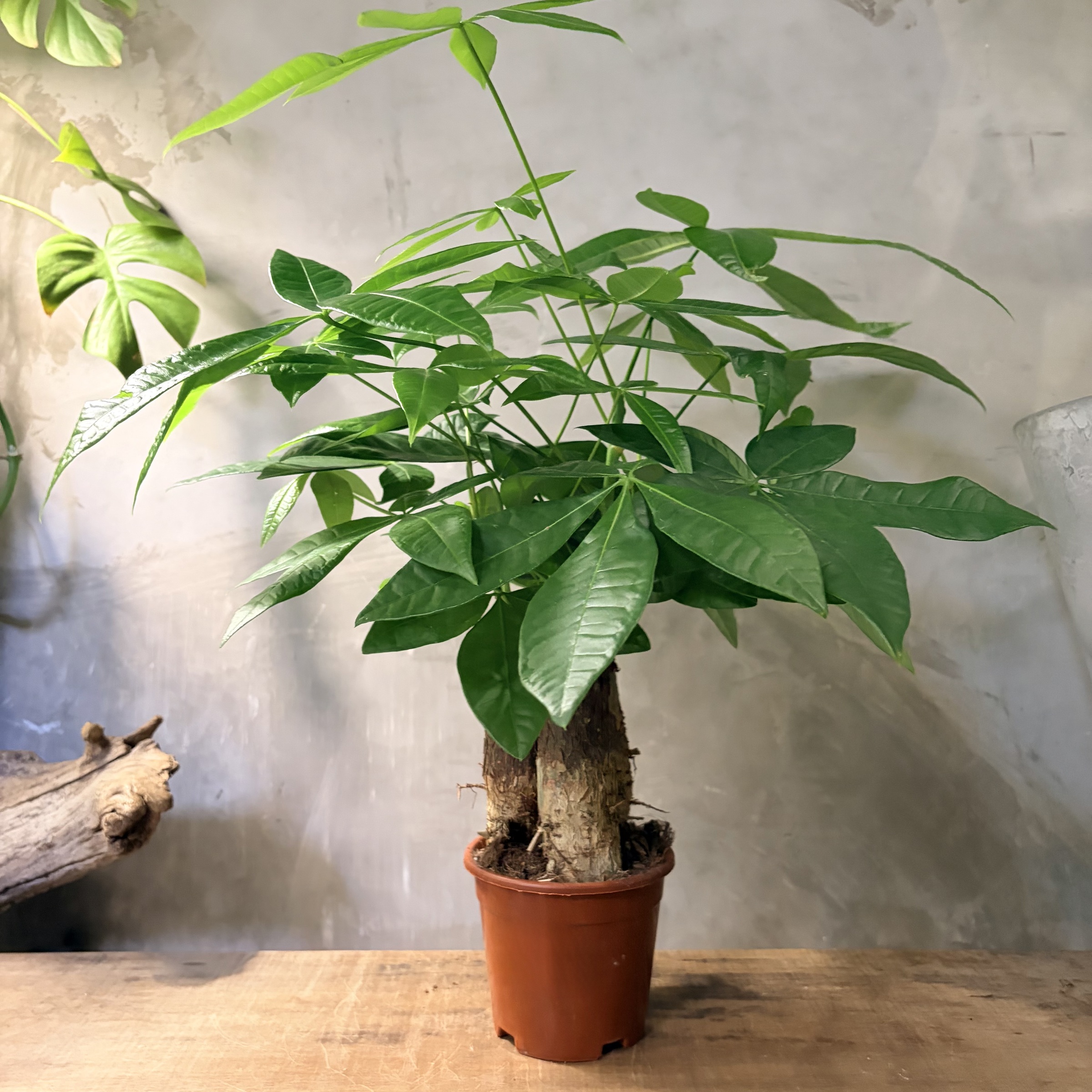 image_EBBF7D3B-AD39-4C16-BFB8-ECFD4857B219_1775180682