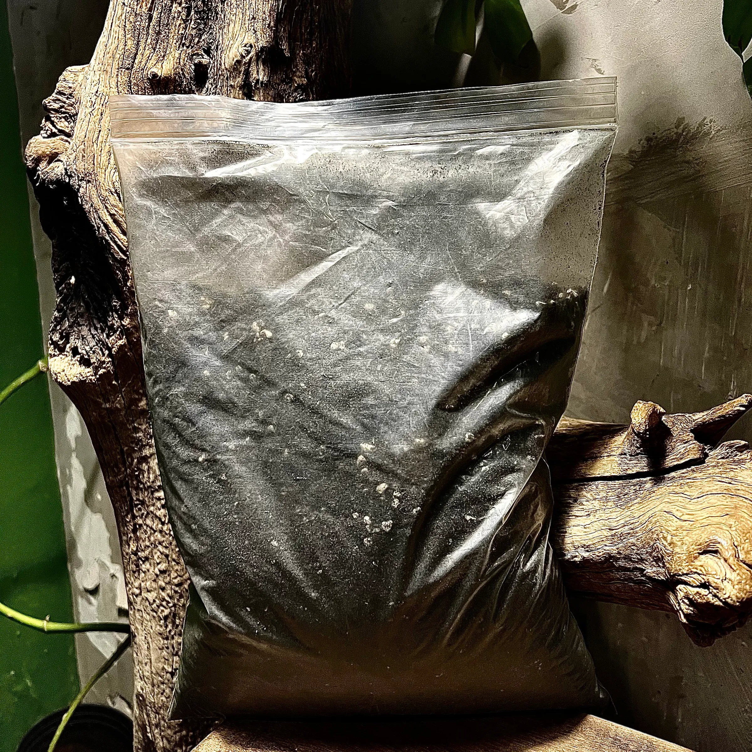 image_3ABF39C9-9567-4B9C-8A43-748BD56290DF_1781536310
