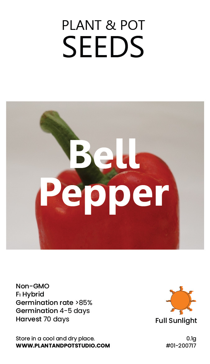 Bell Pepper.jpg