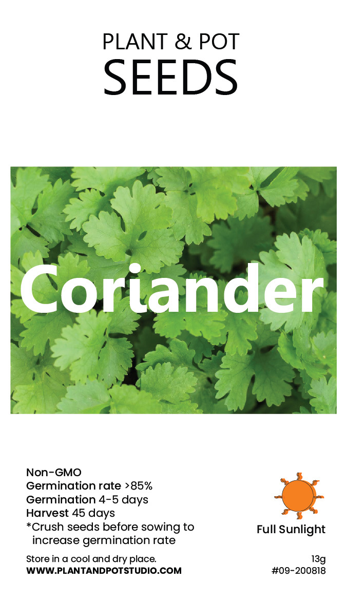Coriander.jpg