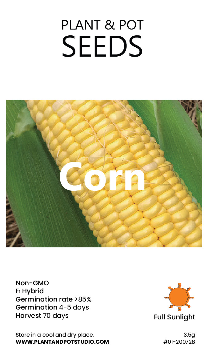 Corn.jpg