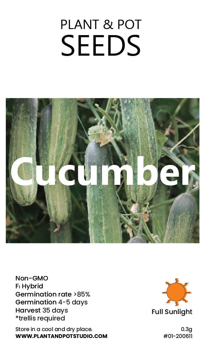 Cucumber.jpg