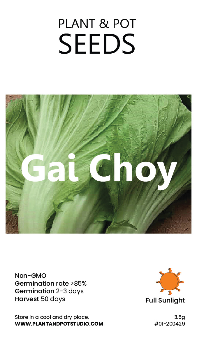 Gai Choy.jpg