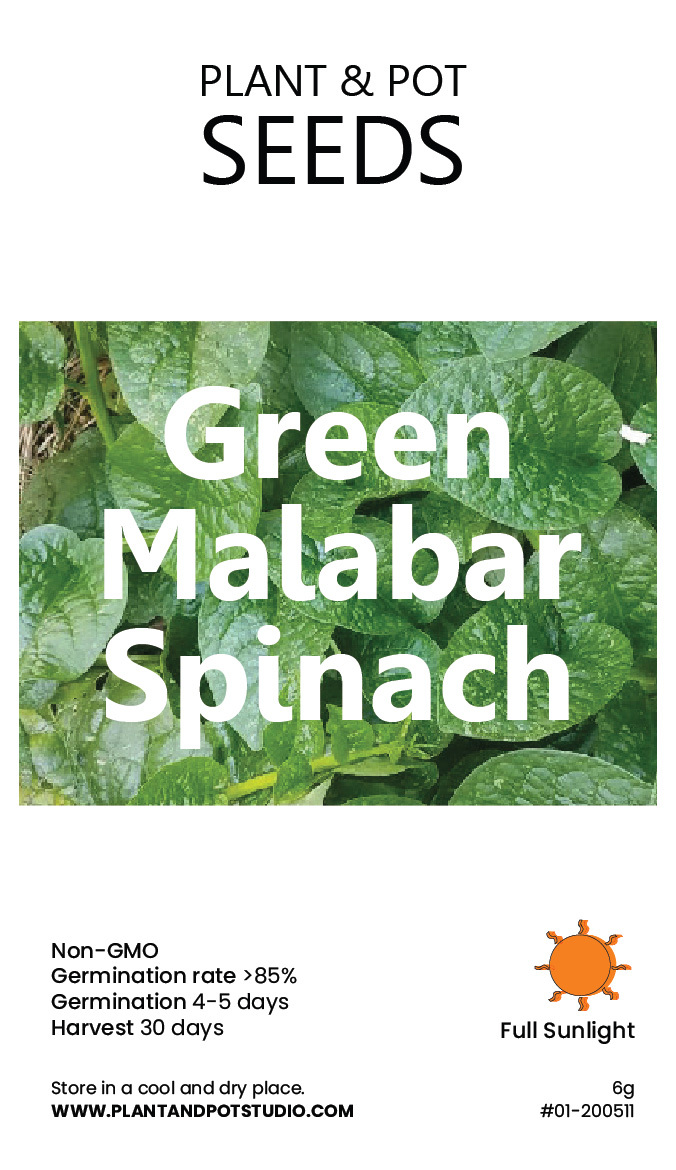 Green Malabar Spinach.jpg