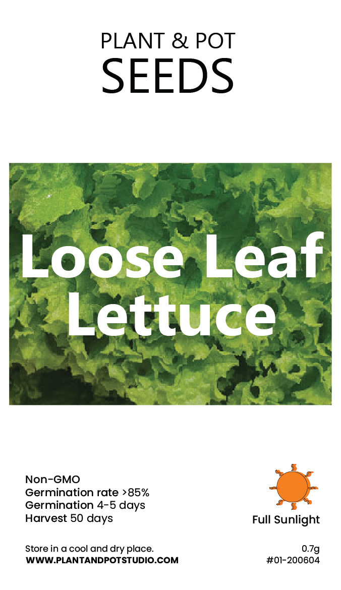 Loose Leaf Lettuce.jpg