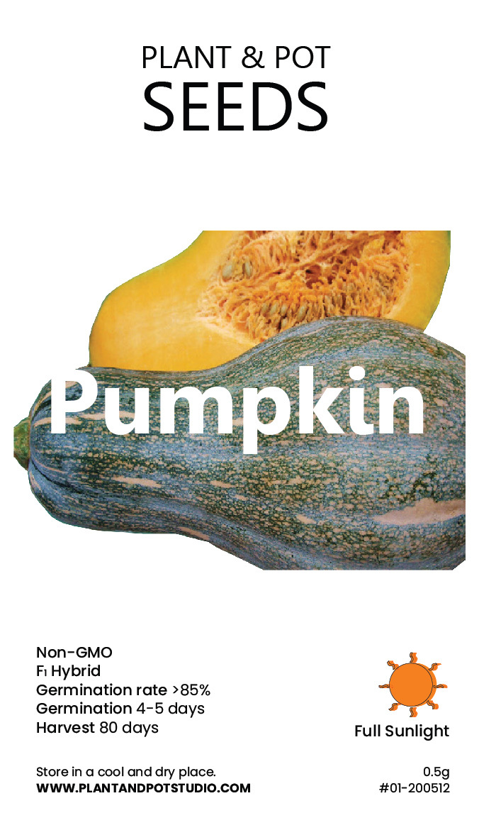 Pumpkin.jpg