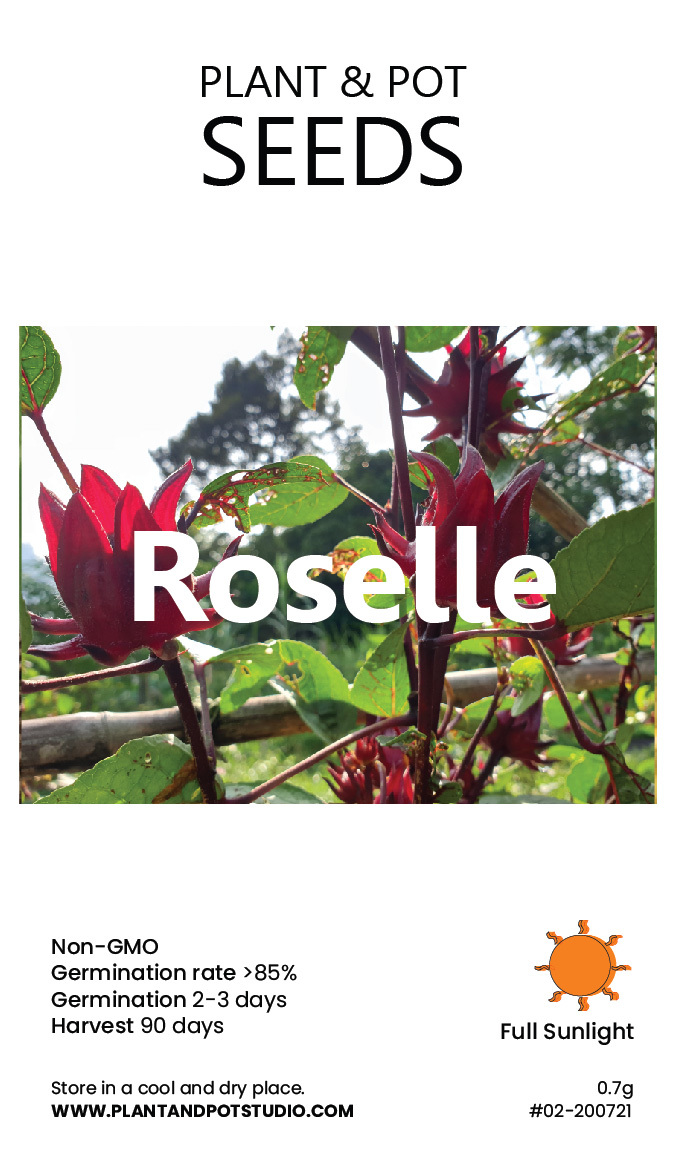 Roselle.jpg