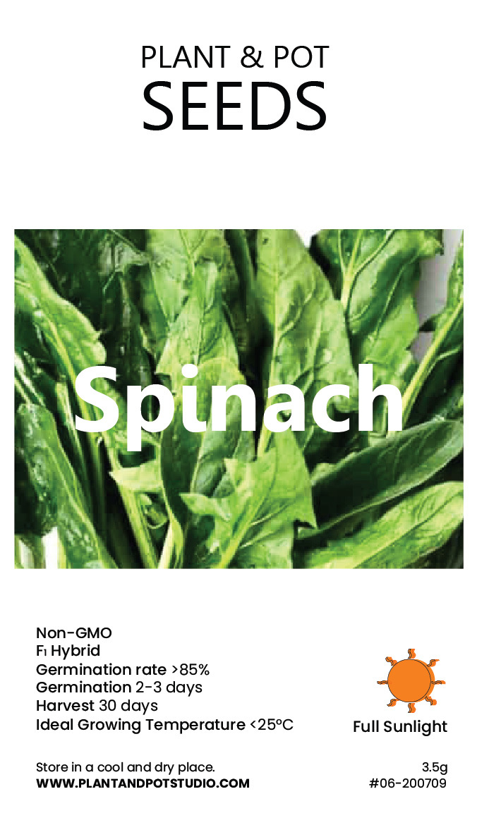Spinach.jpg