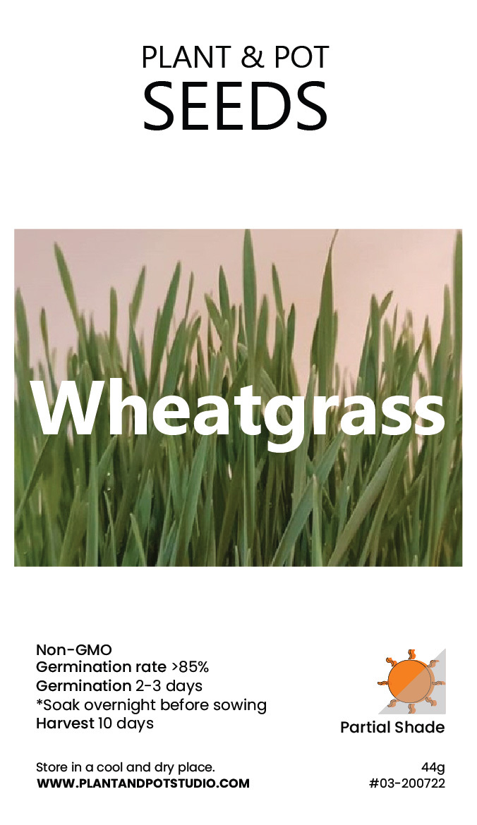 Wheatgrass.jpg