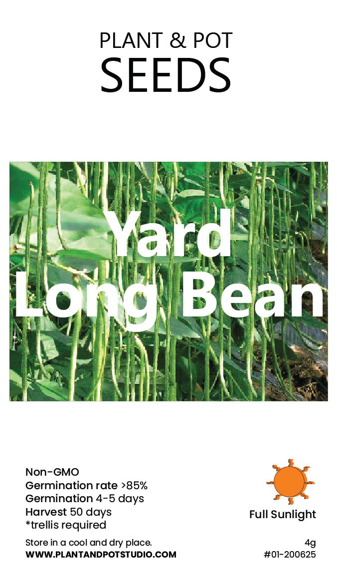 Yard Long Bean.jpg