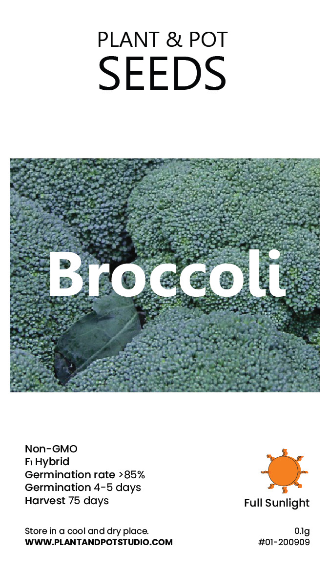 Broccoli-01.jpg