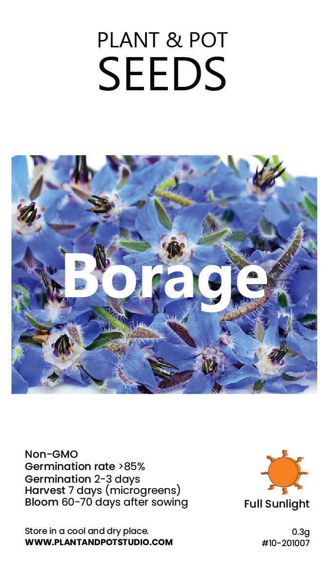 Borage-01.jpg