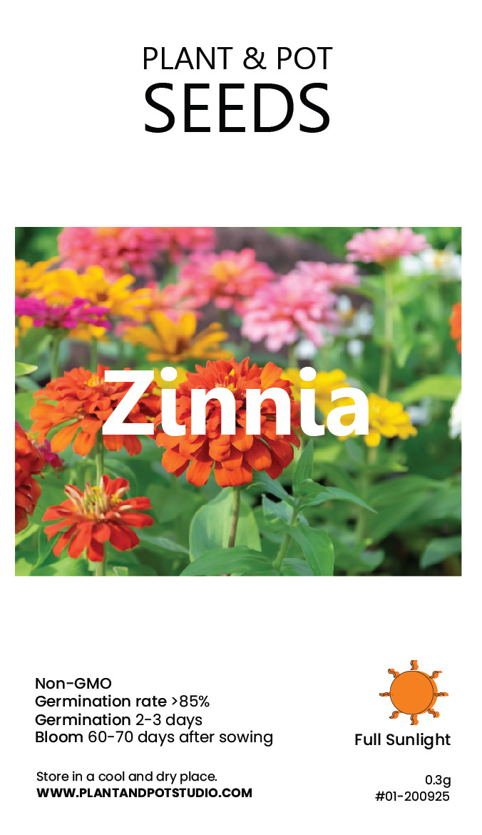 Zinnia-01.jpg