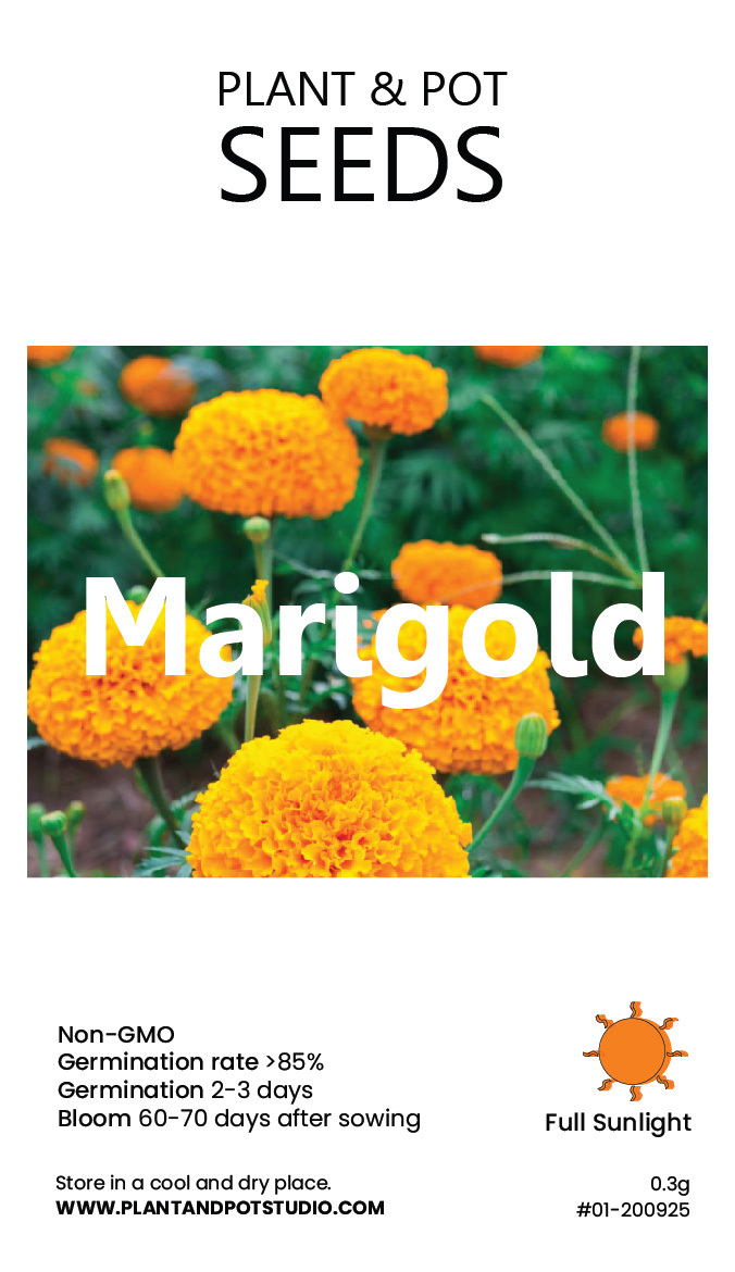 Marigold-01.jpg