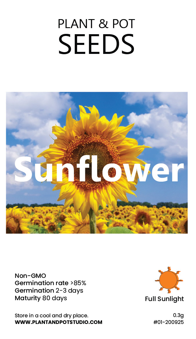 Sunflower2-01.jpg
