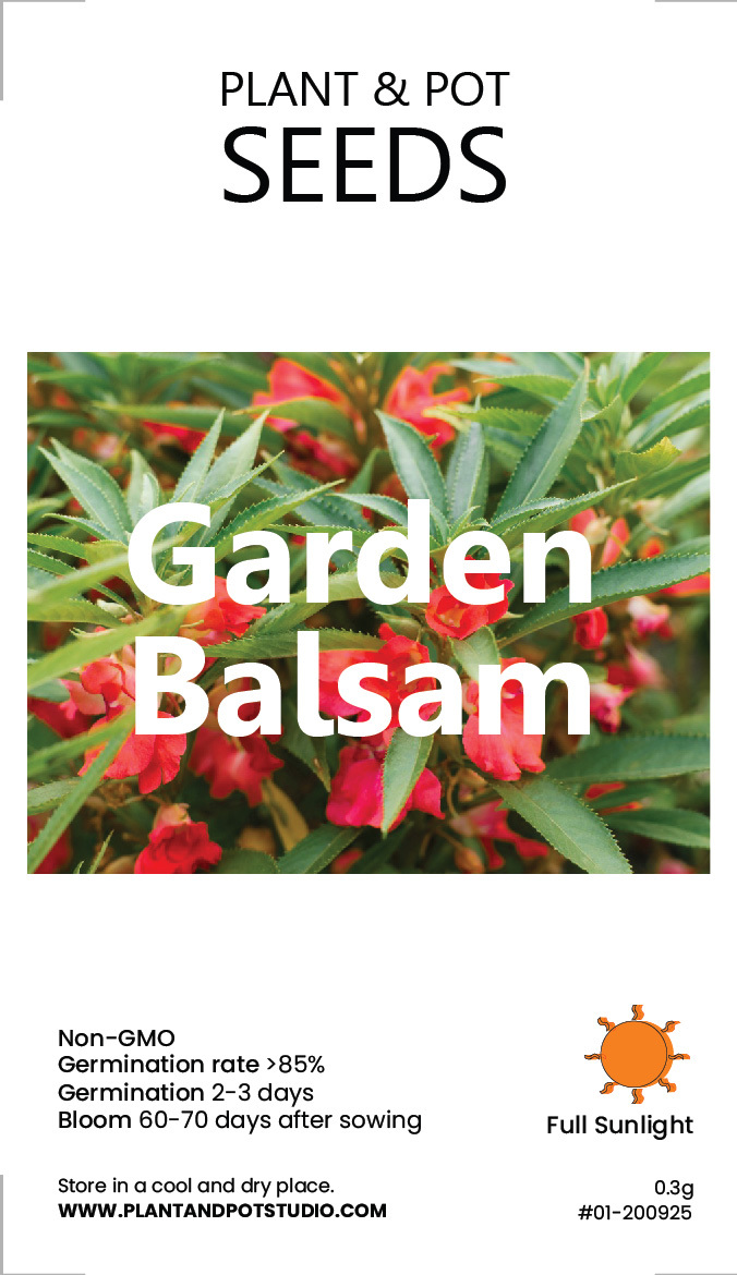 Garden Balsam-01.jpg
