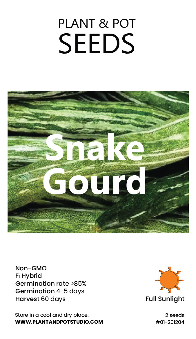 Snake Gourd-01.jpg