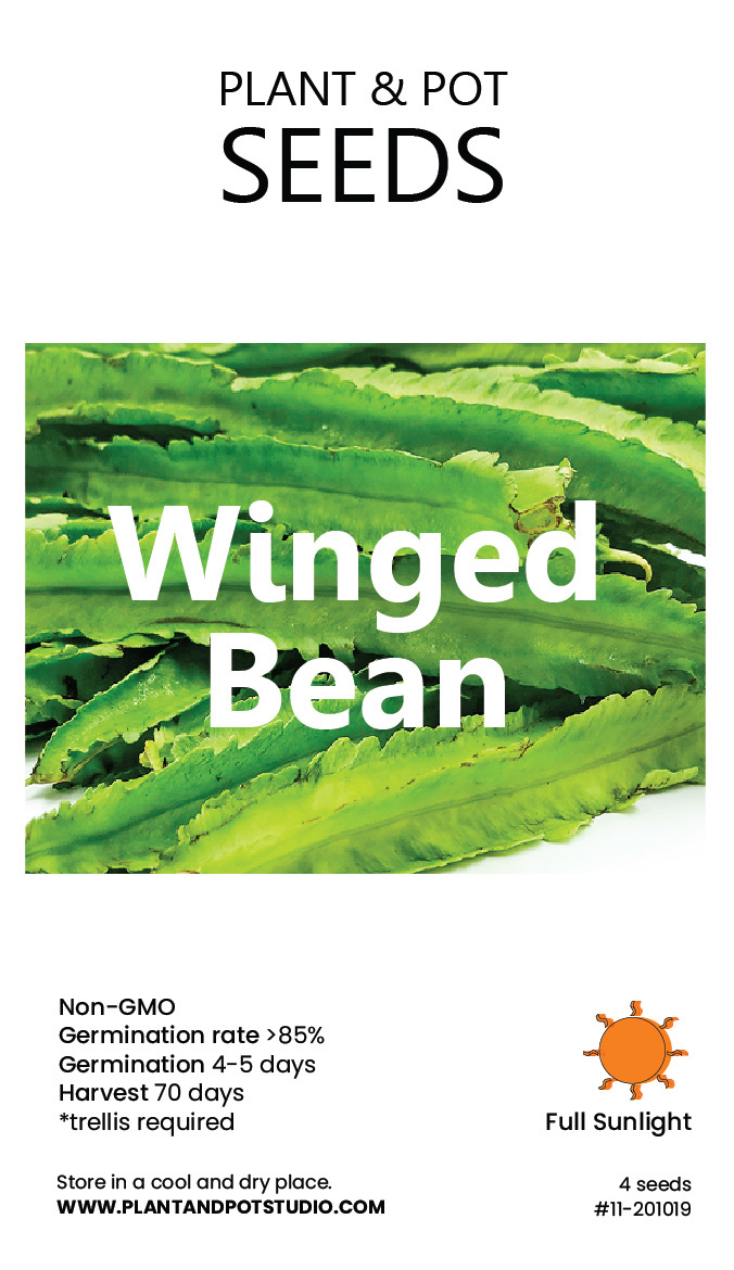 Winged Beans-01.jpg