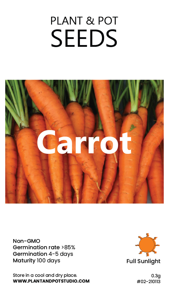 Carrot-01.jpg