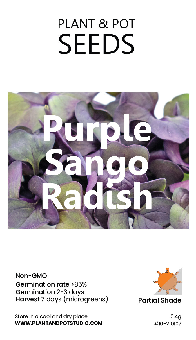 Purple Sango Radish-01.jpg