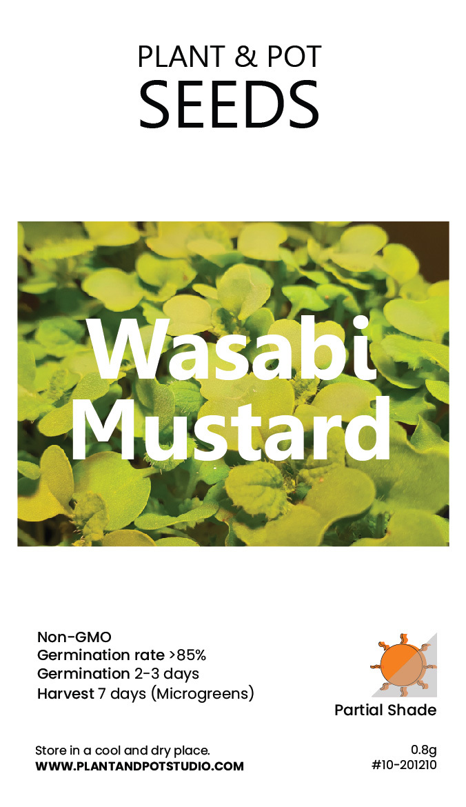 Wasabi Mustard-01.jpg