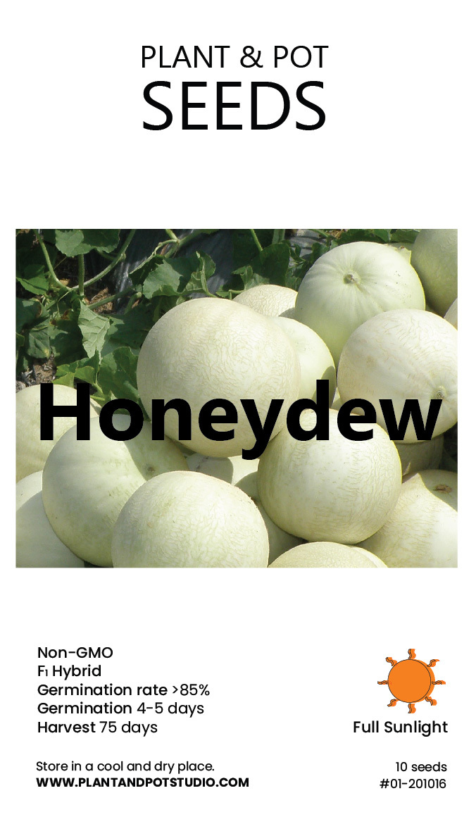 Honeydew-01.jpg