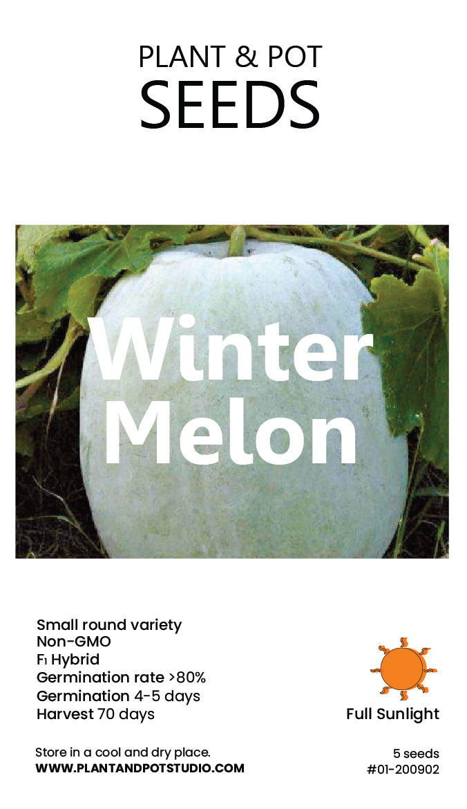 Winter Melon-01.jpg