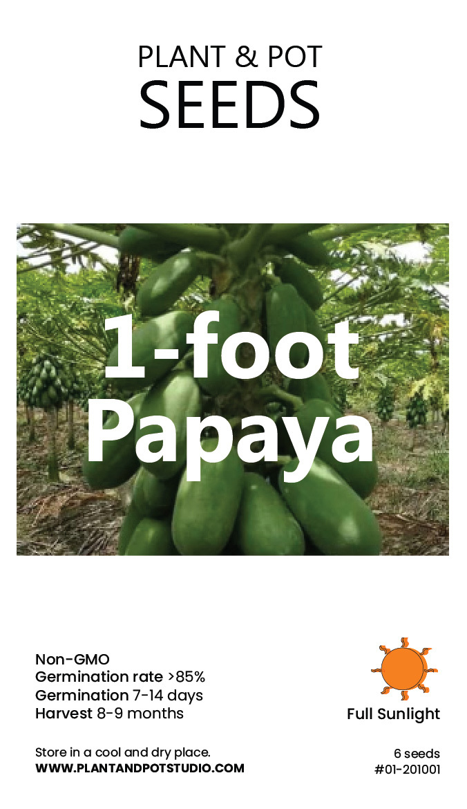 1-foot Papaya-01.jpg