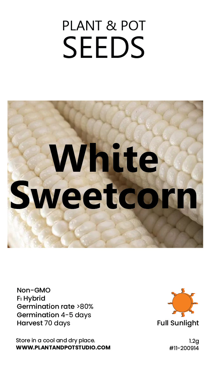 White Sweetcorn-01.jpg