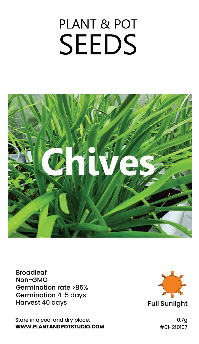 Chives-01.jpg