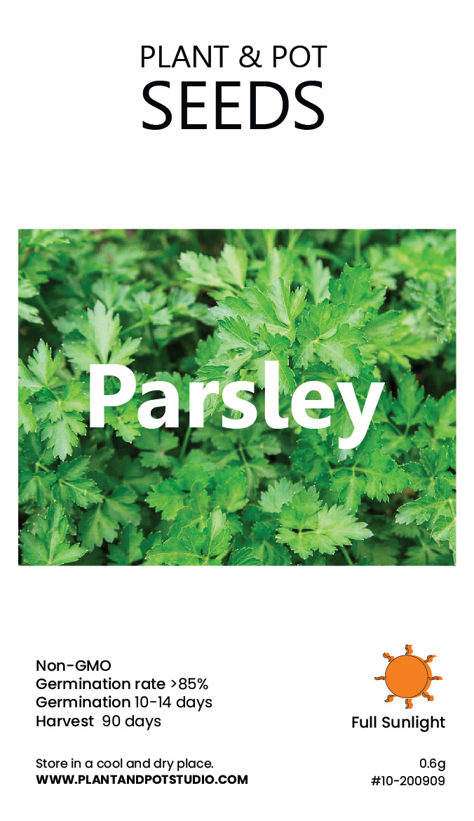 Parsley-01.jpg