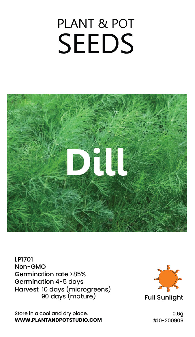 Dill-01.jpg