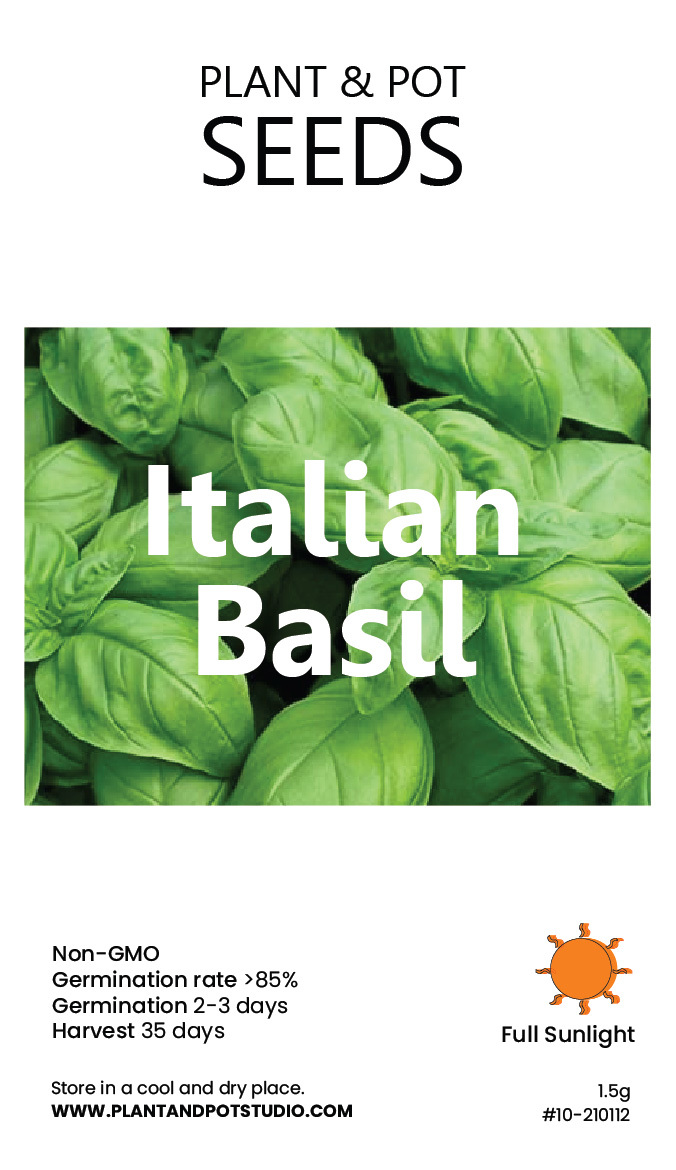 Italian Basil-01.jpg