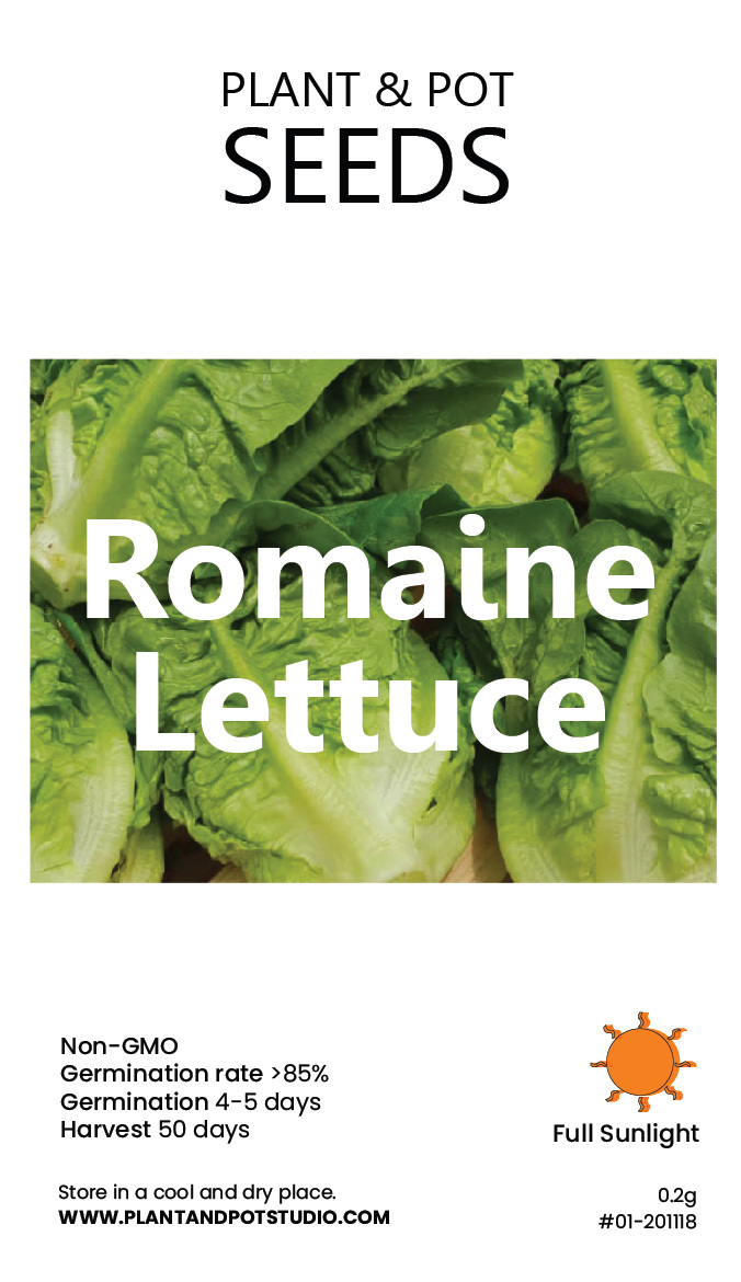 Romaine Lettuce-01.jpg