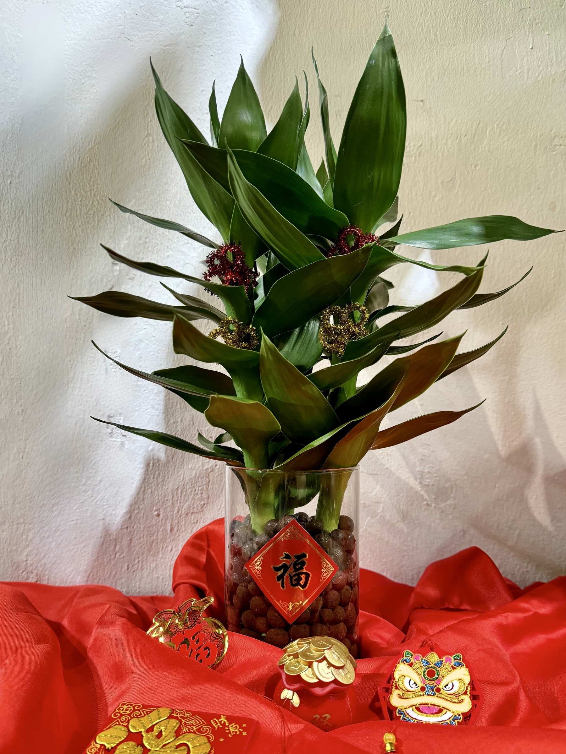 8fae00a7-c019-4bb1-82ec-0733656dfb14-1705126105067