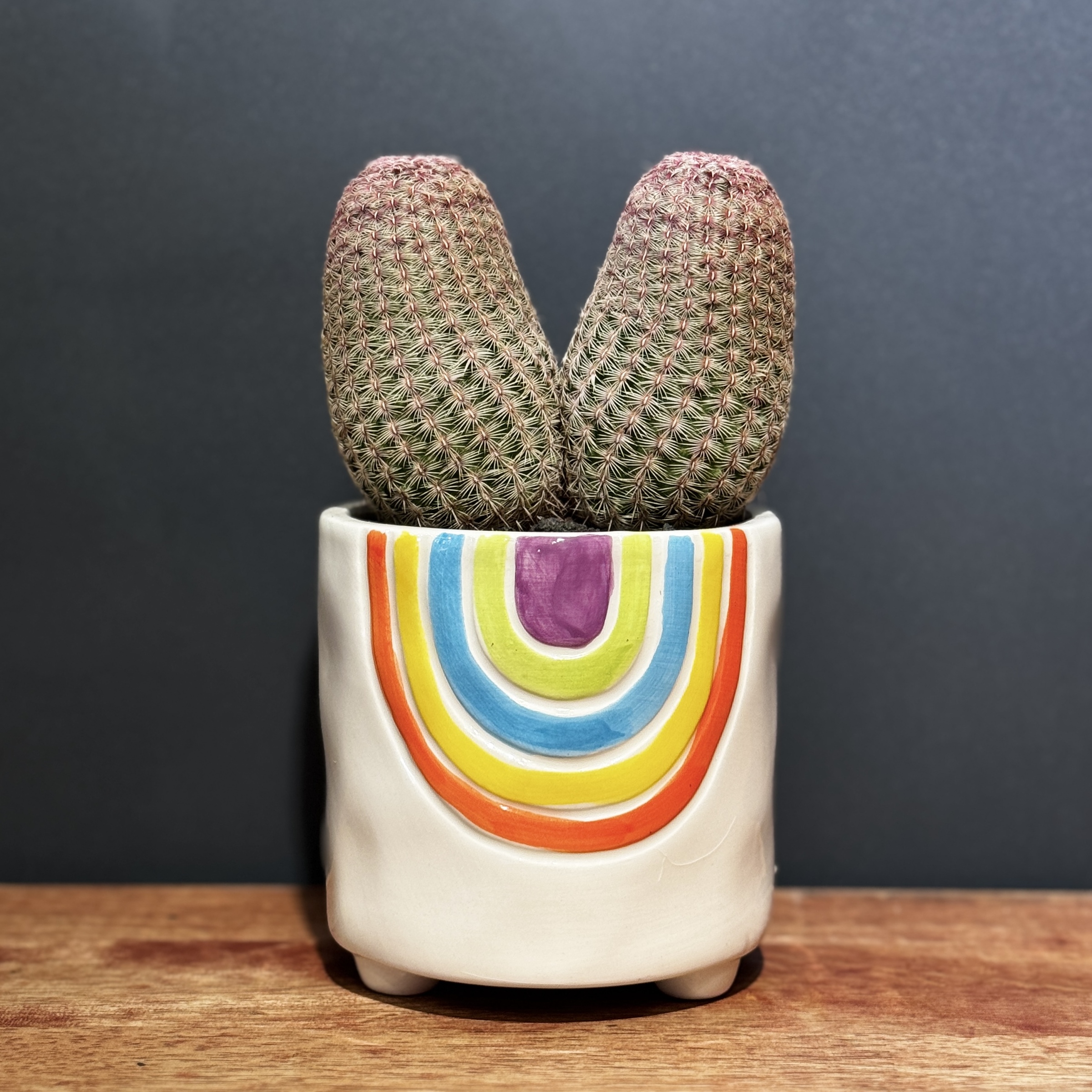 image_62FF4AEA-DB1D-49D3-9AB8-18381178A5B0_1766376314