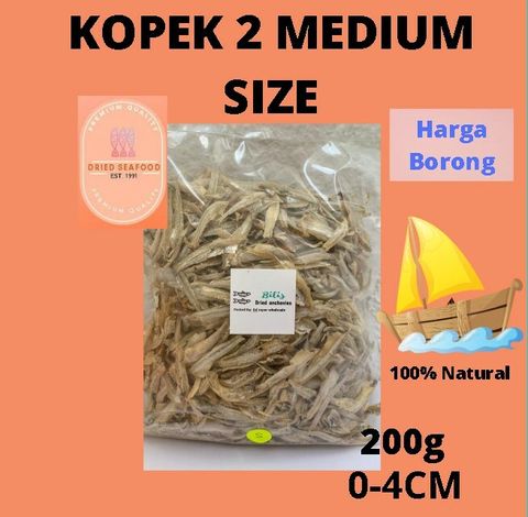 kopek 2 medium.jpg