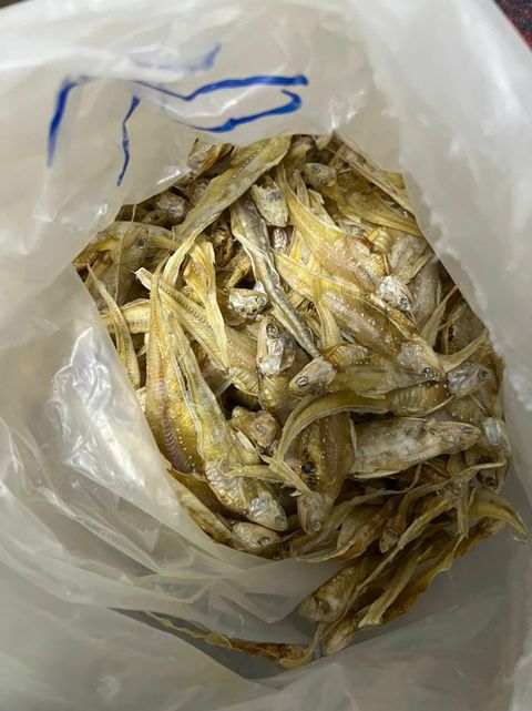 WhatsApp Image 2022-06-25 at 2.27.05 PM