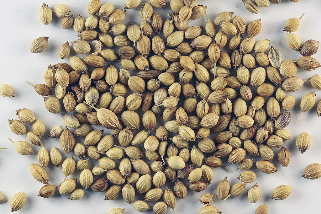1024px-Sa-cilantro_seeds.jpg