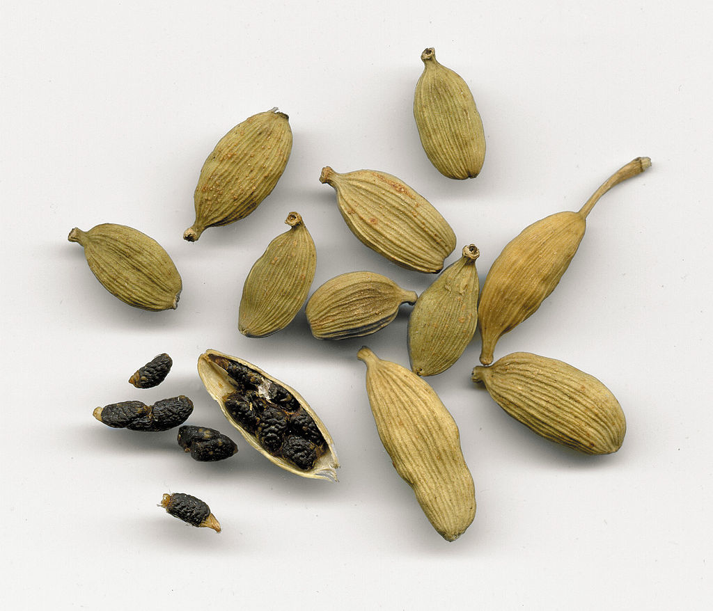1024px-Elettaria_cardamomum2.jpg