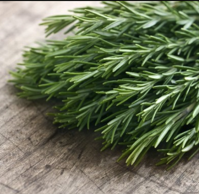 rosemary.PNG