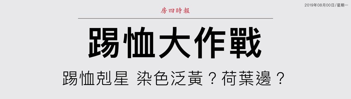 搶救荷包 | 踢恤大作戰
