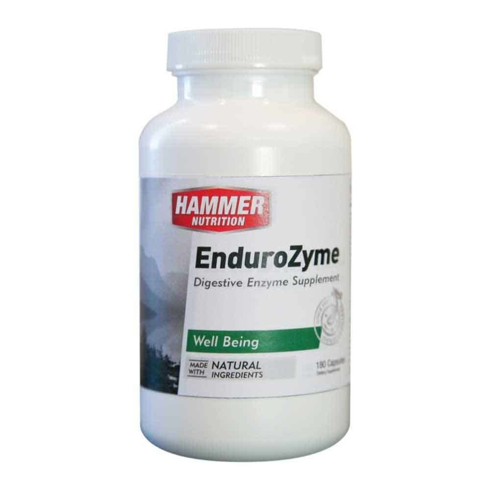 EENZ_MAIN-1