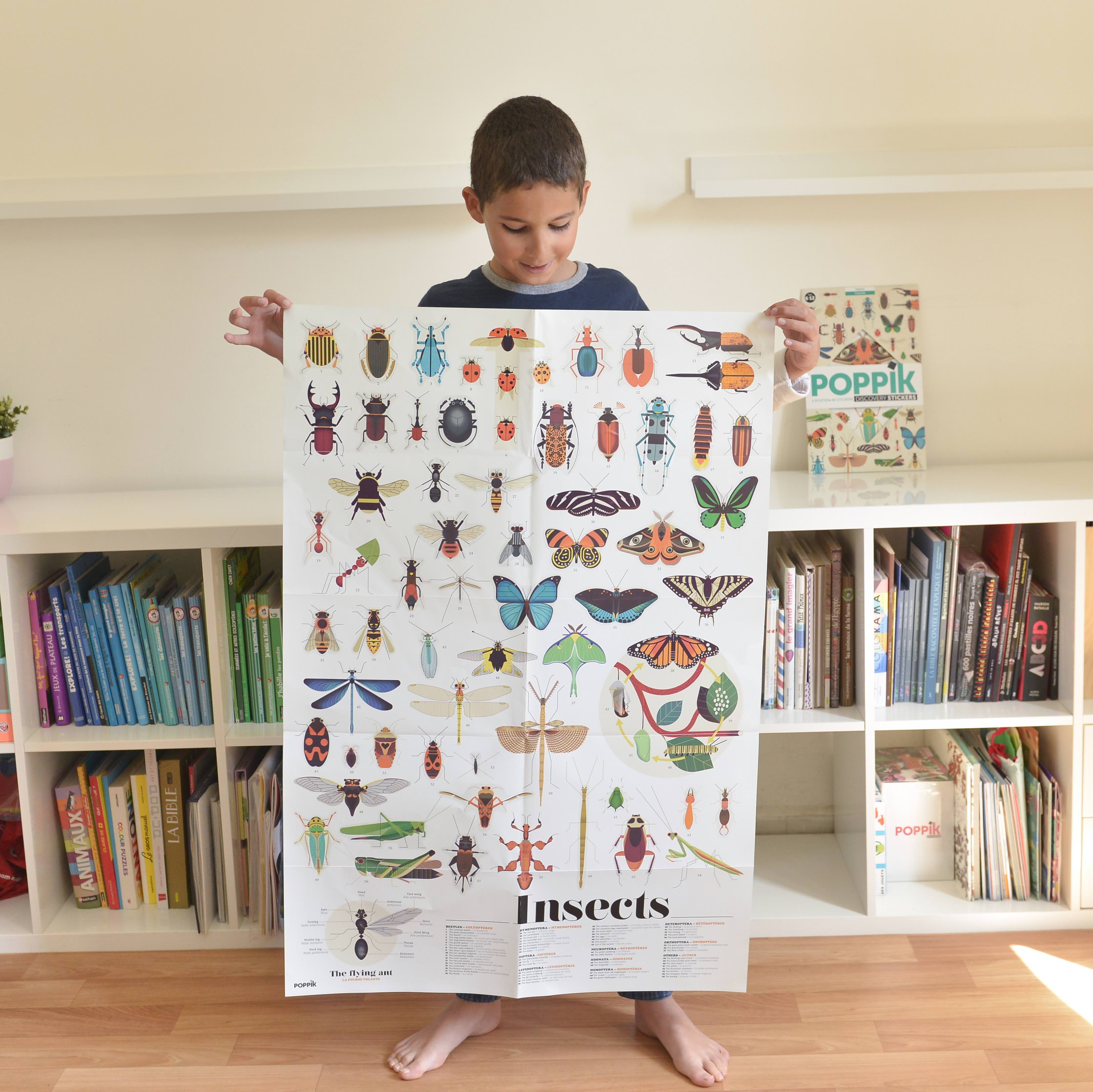 poppik insects owen davey sticker poster wall decor 9 - copie.jpg poppik insects owen davey sticker poster wall decor 9 - copie.jpg